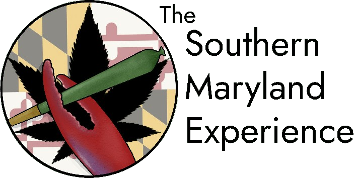 TSME-1-removebg-preview-1